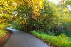 20191107_080137-scaled